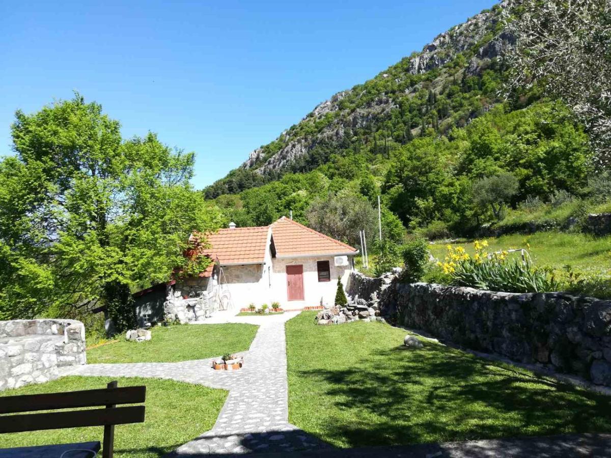 Forest Apartments Kotor Eksteriør bilde